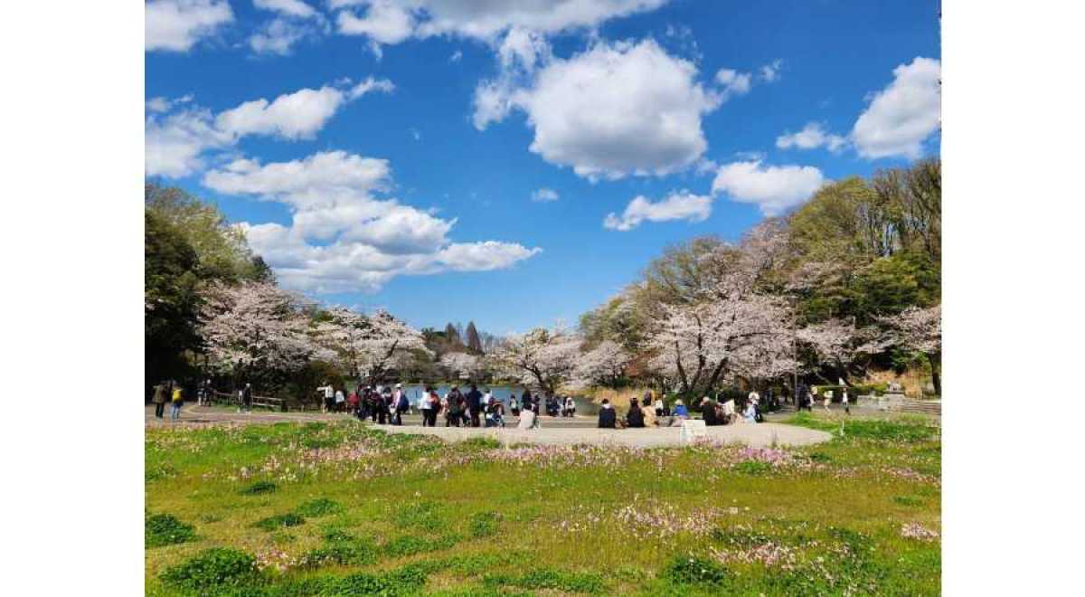 神奈川県公園協会